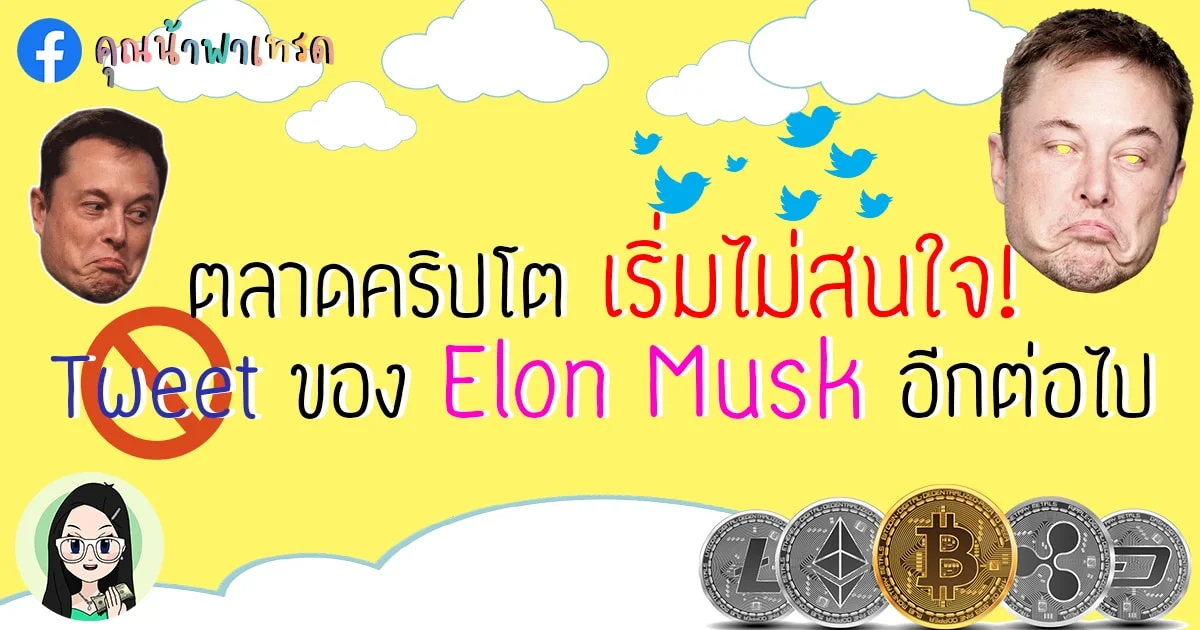 ล่าสุด ตลาดคริปโตเริ่มไม่สนใจ Tweet ของ Elon Musk อีกต่อไป