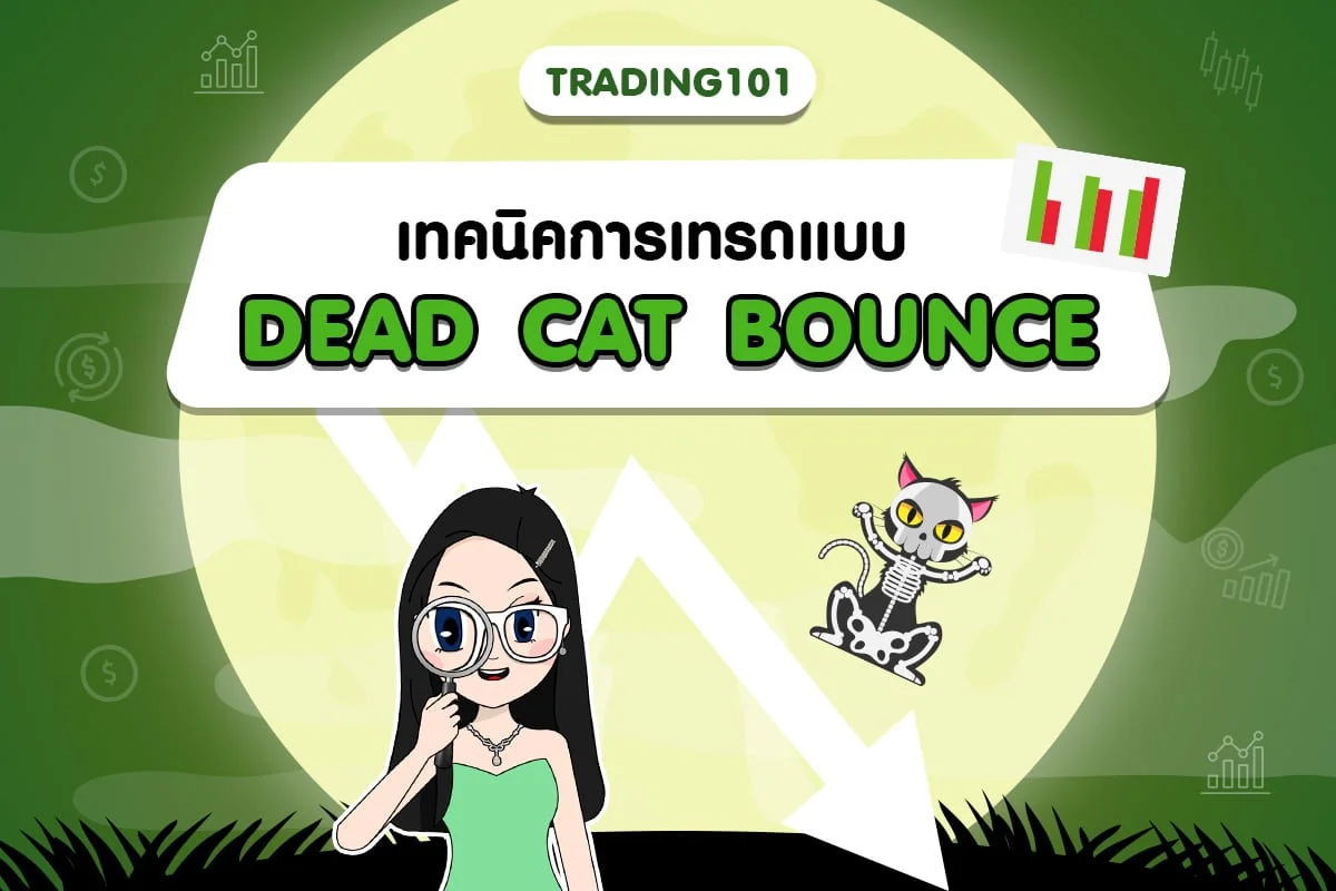 Trading 101: เทคนิคการเทรดแบบ Dead Cat Bounce คืออะไร?