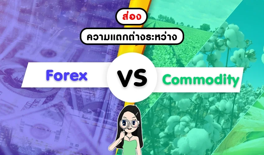 Forex กับสินค้าโภคภัณฑ์