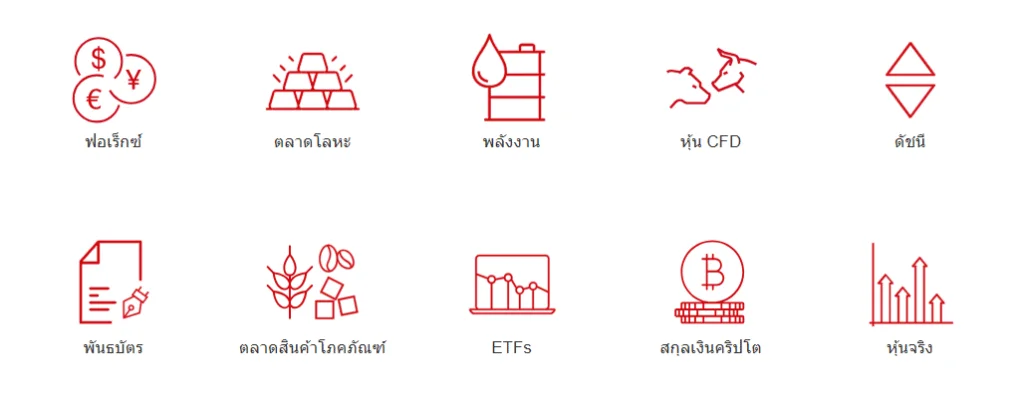 ผลิตภัณฑ์ของ HFM 