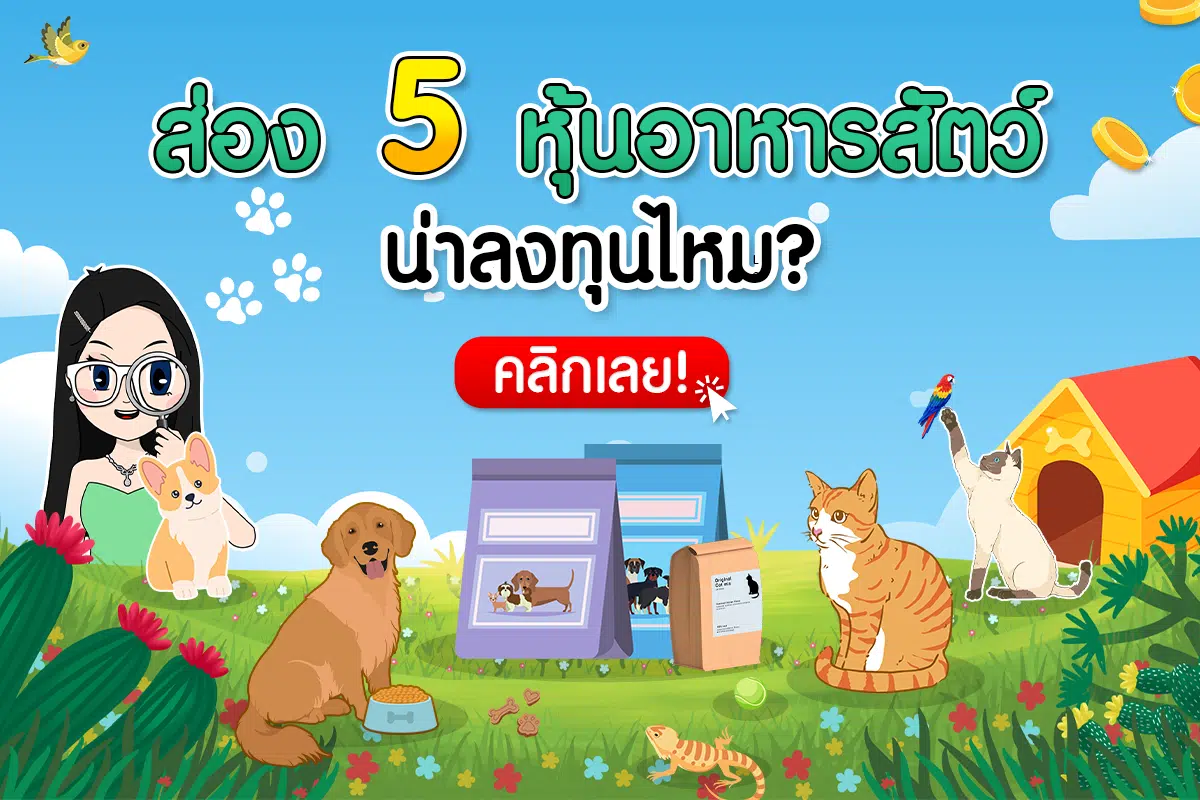 5-petstock-in-thailand/