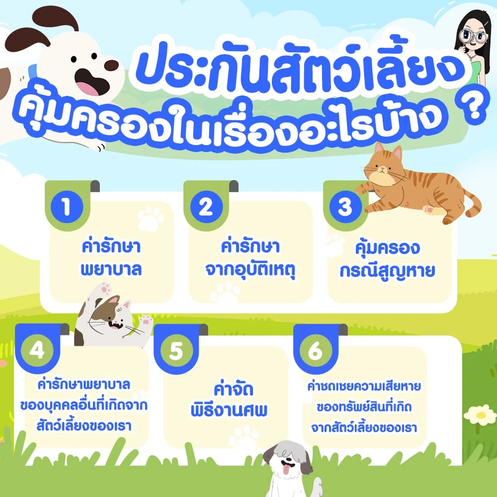 ประกันสัตว์เลี้ยงคุ้มครองอะไรบ้าง