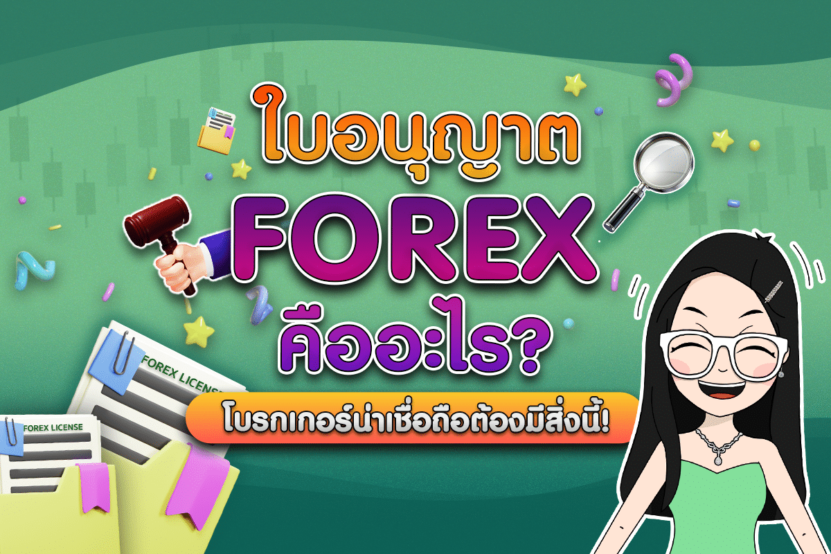 ใบอนุญาต Forex คืออะไร